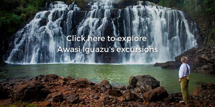 Click here to explore Awasi Iguazus excursions