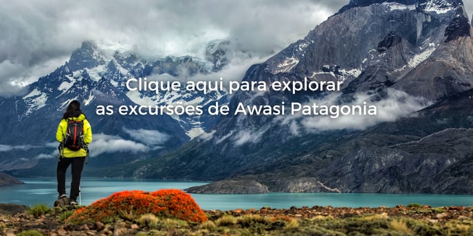 Explore our Excursiones (3)